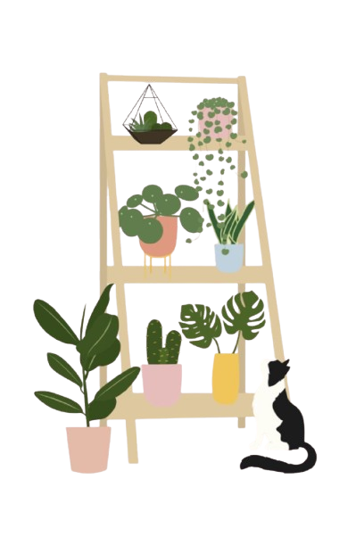 chat