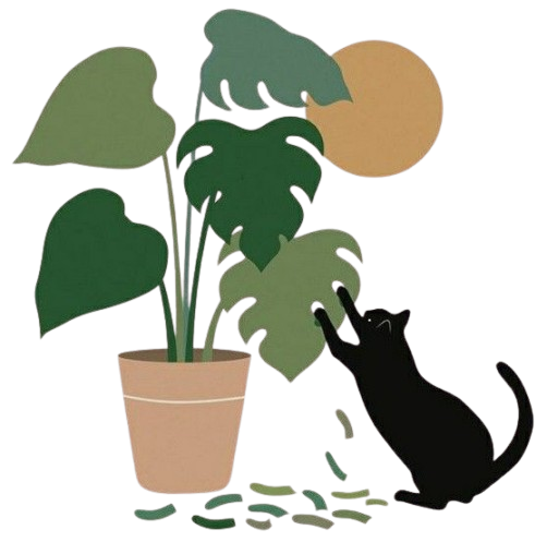 feuille monstera