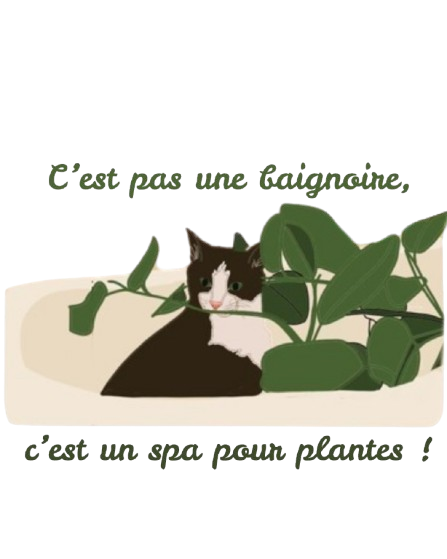 Patte de chat